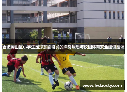 合肥蜀山区小学生足球悲剧引发的深刻反思与校园体育安全建设建议