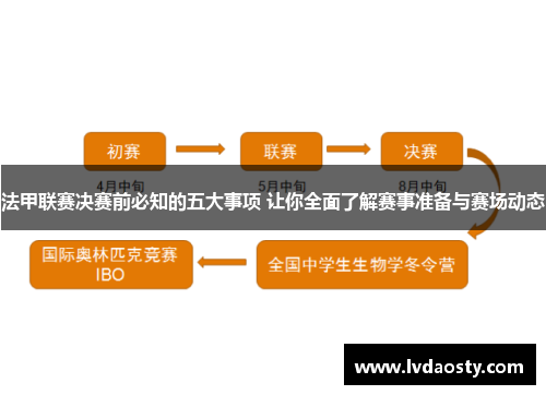法甲联赛决赛前必知的五大事项 让你全面了解赛事准备与赛场动态